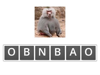 GRADE 5: UNIT 5 VOCABULARY 