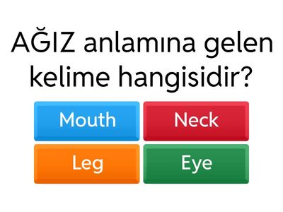 5. SINIF İNGİLİZCE