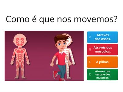 Corpo Humano