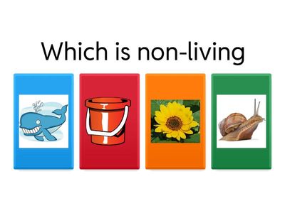 Living and non-living Grade 2
