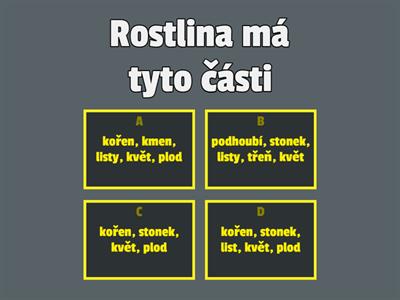 Rostliny