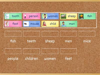 Irregular Plurals