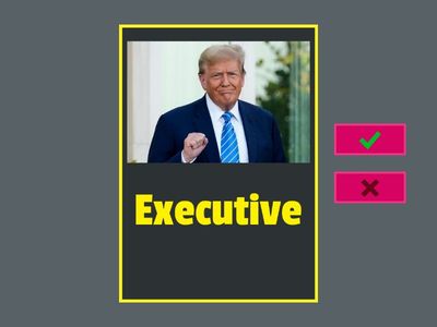 CONSTITUTIONAL PRINCIPLES