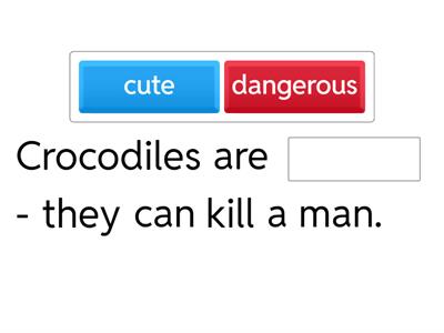 Animals: adjectives