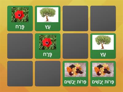 Tu bishvat matching game