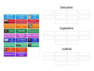 Separation of Powers (U.S. Branches of Government) 