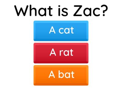 BOOK 1 (Zac the Rat) quiz