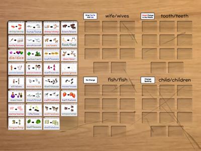 Irregular Plural Noun Sort