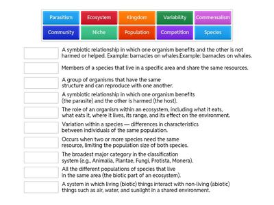 Unit A: Section 1 Vocabulary