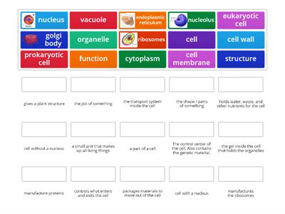 CELL ORGANELLES 