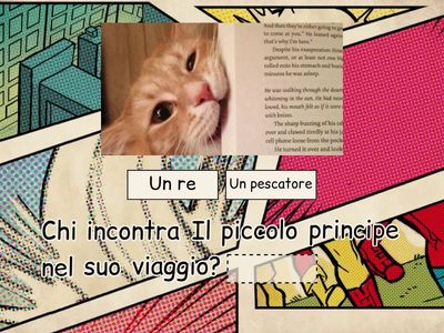 10 CAPITOLO IL PICCOLO PRINCIPE.  Engi