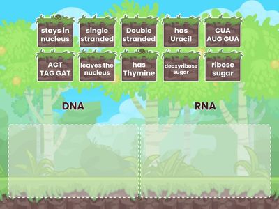 DNA or RNA - Race