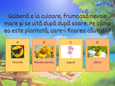 Vara - ghicitori (quiz)