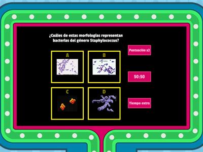 Morfología bacteriana