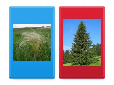 природные зоны