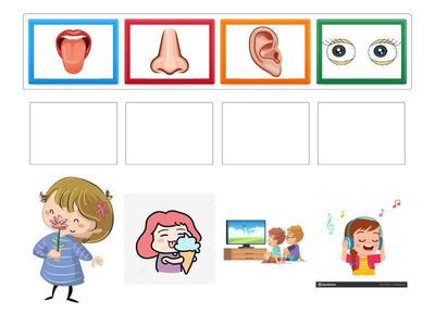 Fungsi anggota badan (cikgu sarah)