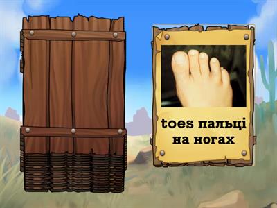 Частини тіла 2 клас