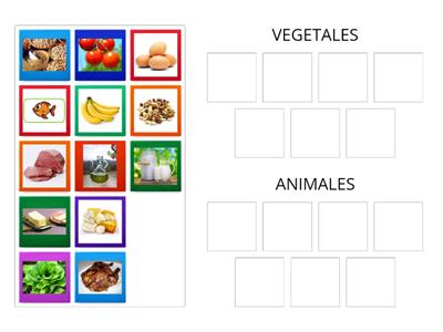 CLASIFICACIÓN DE ALIMENTOS SEGÚN SU ORIGEN