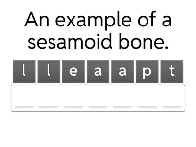Bone type examples