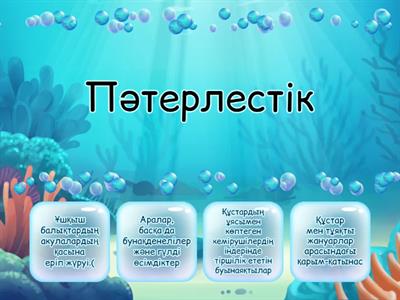 Ас үйде қатты порно көру