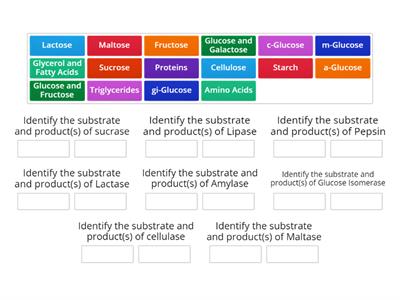 Enzyme Practise 