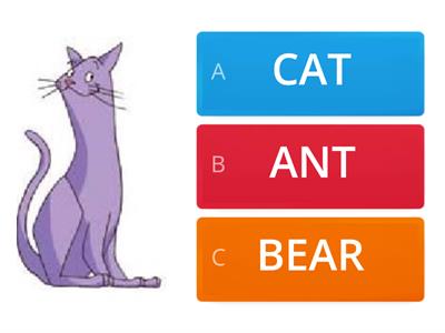 Sounds  cat, ant, rat, bat