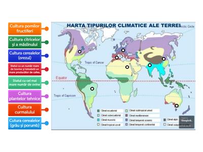 Harta regiunilor agricole (clasa a 10-a)