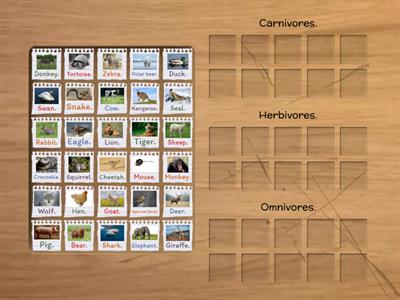 Carnivores, herbivores or omnivores?