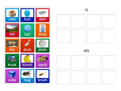 Wilson Step 1 Plural Noun Suffix -s or -es 