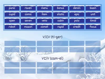 VCV Syllable division
