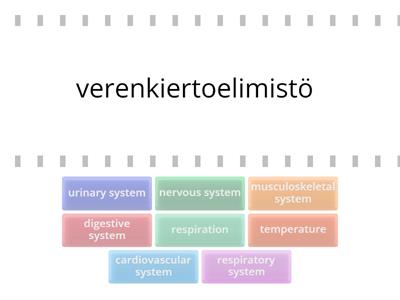 Major systems and general functions