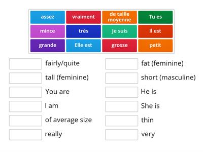 Les Descriptions - Height and Size Review