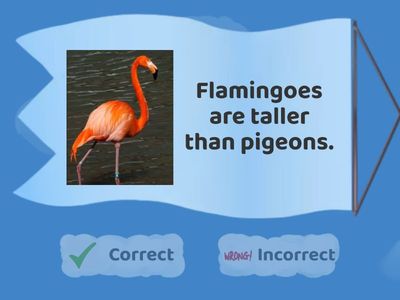 Comparatives and Superlatives - A1