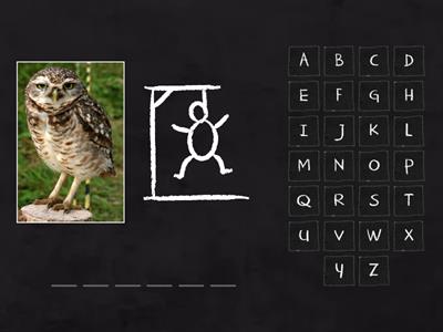 FORCA PALAVRAS COM C