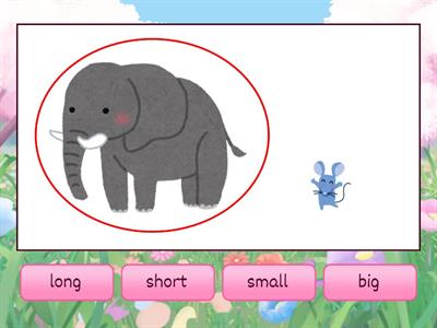 Adjectives 1 - Big Small Long Short Tall