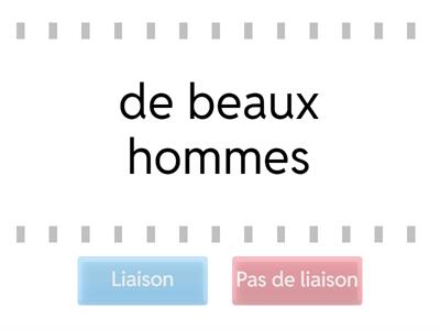 Bien dit! 1 - Application 3.1 - Beau/nouveau/vieux - La liaison avec les formes du pluriel