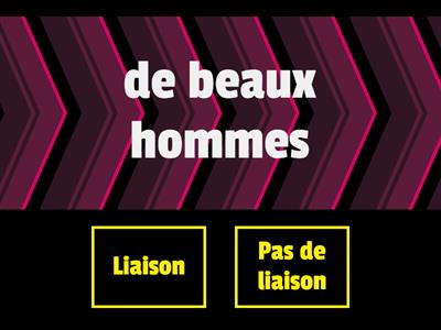 Bien dit! 1 - Application 3.1 - Beau/nouveau/vieux - La liaison avec les formes du pluriel