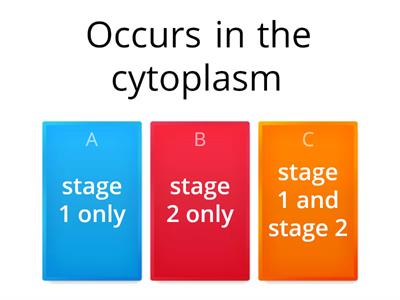 Fermentation in animal cells Quiz