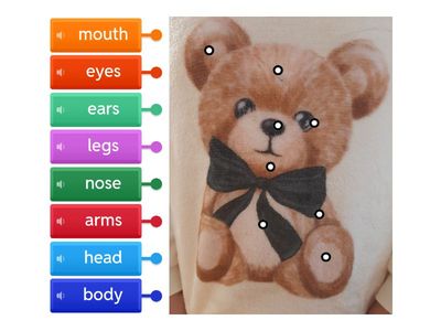 Antosia Bugs Team 1 Unit 3