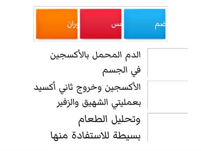 الهضم والاخراج والتنفس والدوران 