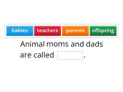 Animal parents and offspring