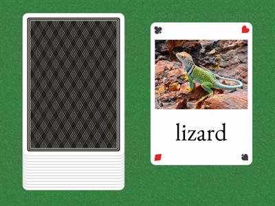 Flashcards- Pets