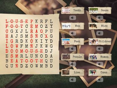 GRAMMAR | Irregular Plurals 