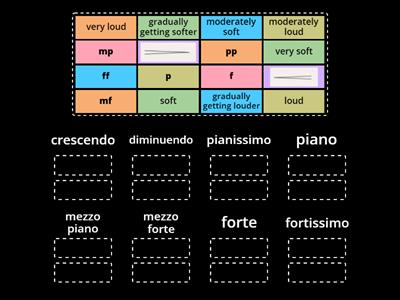 KAR MADTSHIRT Dynamics