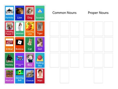 Common & Proper Noun Sort