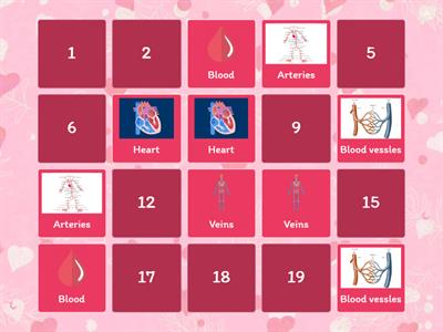 Excretory and Circulatory Systems