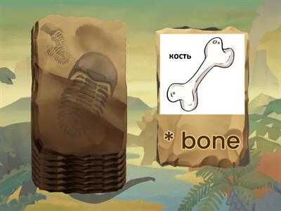 Body (начальная школа)