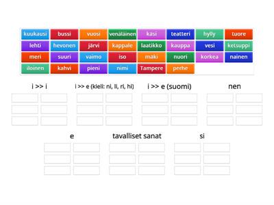 Sanatyypit (nen, e, i>i, i>e, i>e, si, tavalliset sanat)