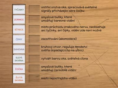 Části oka