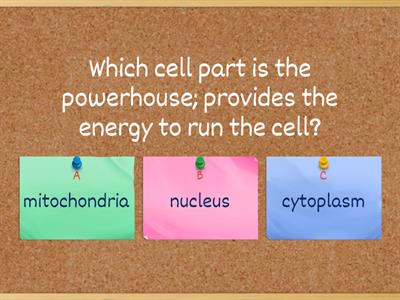 Unit 3 Review (Cells)